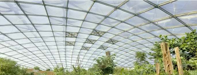 景秀ETFE膜结构.png