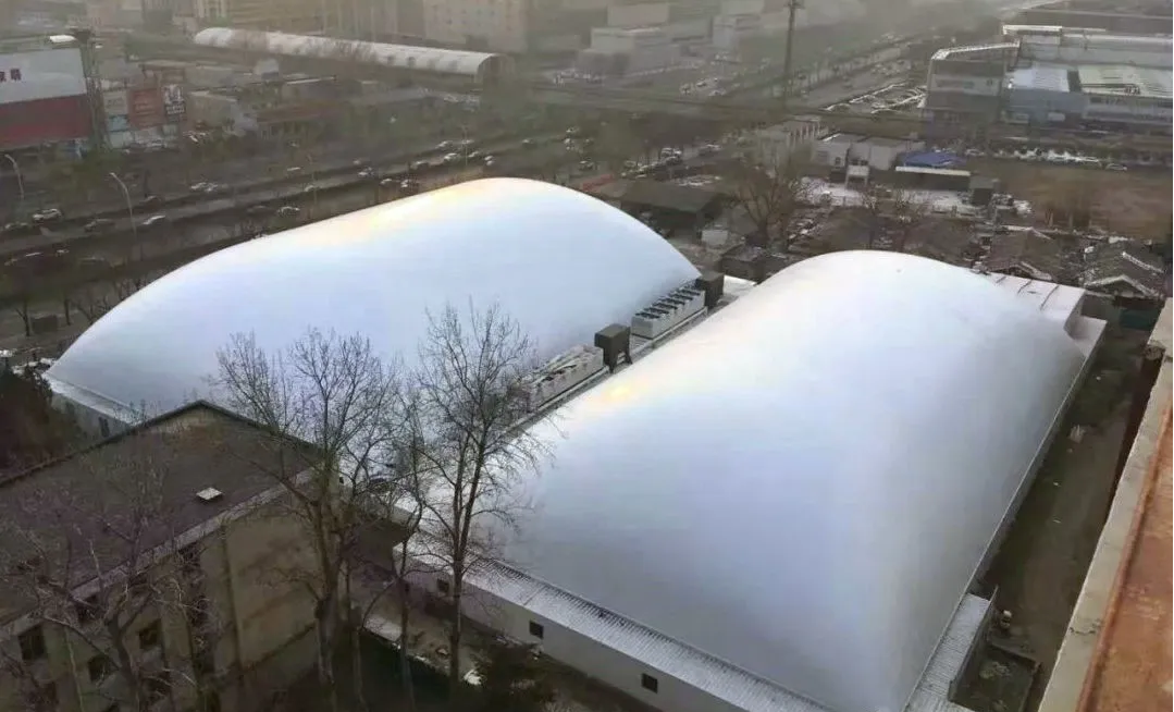 充气膜结构 景秀充气膜结构.png